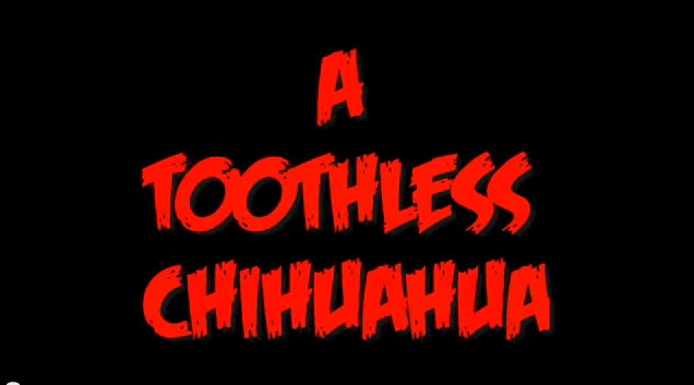a_toothless_chihuahua_thumbnail.jpg