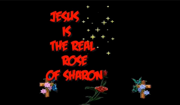 jesus_is_the_real_rose_of_sharon_thumbnail.jpg